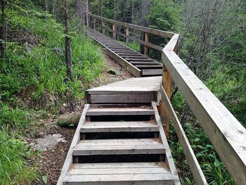 Footpath leading towards trees