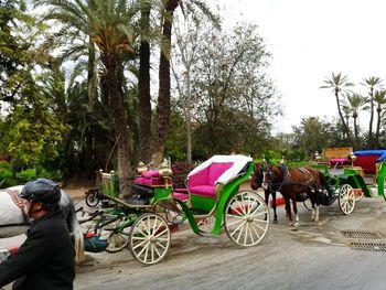 Parked cars in parking lot