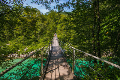 Footbridge amidst trees in forest