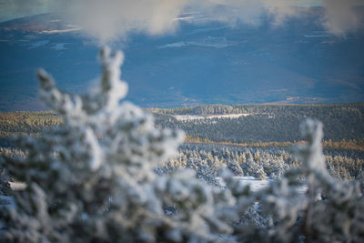 Aerial view of snow covered land