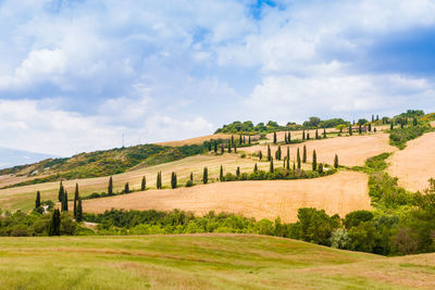 Scenic view of landscape against sky