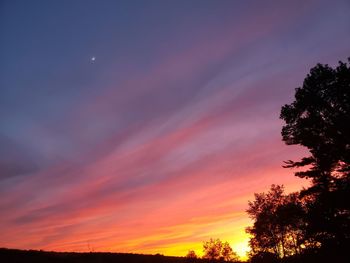 Low angle view of silhouette trees against sky during sunset