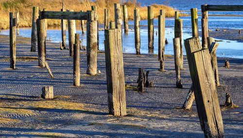 Wooden posts on pier over sea