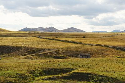 Scenic view of field against sky