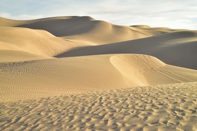 Sand dunes in a desert