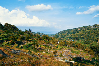 Scenic view of landscape against sky