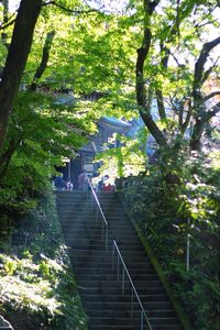 Low angle view of staircase