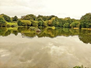 Scenic view of lake by trees against sky