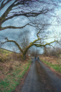 Road passing through bare trees