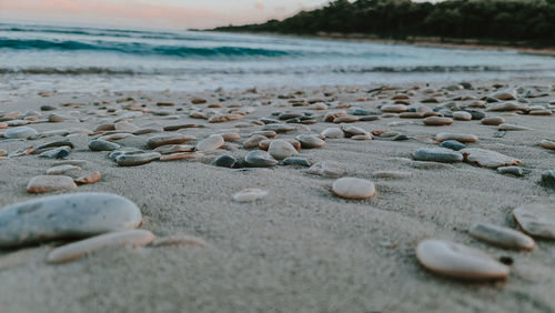 Peace and the sound of the nature at the same time