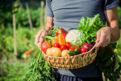 Midsection of man holding vegetables in basket