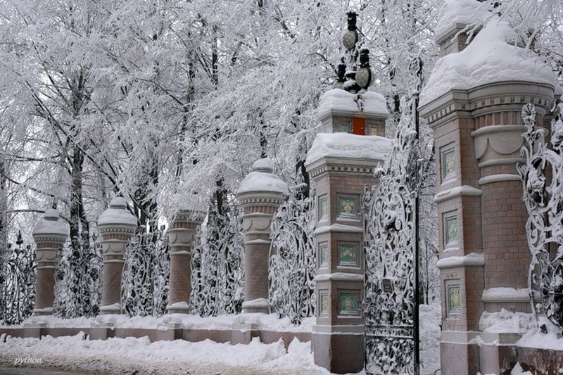 building exterior, architecture, built structure, snow, winter, cold temperature, tree, season, bare tree, building, covering, day, weather, outdoors, residential building, window, low angle view, white color, house, no people