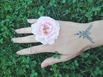 Cropped hand of woman holding pink rose on field