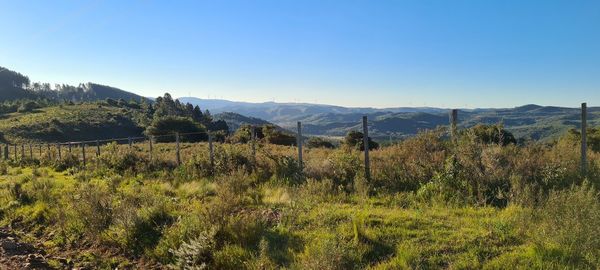 Scenic view of landscape against clear sky