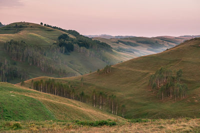 Scenic view of agricultural field against sky during sunset