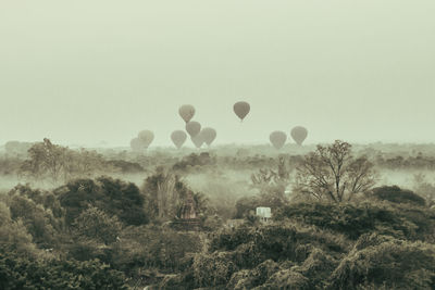 Hot air balloons on field against clear sky