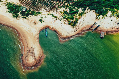 High angle view of turtle in sea