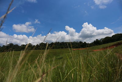 Scenic view of field against sky