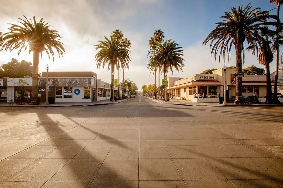 palm tree, tree, building exterior, architecture, built structure, transportation, city, street, sky, car, incidental people, road, the way forward, mode of transport, sunlight, city life, outdoors, land vehicle, travel, day