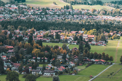 High angle view of trees and houses on field