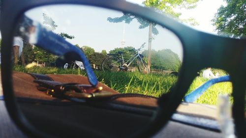 Reflection of trees on side-view mirror of car