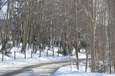 View of trees on snow covered landscape