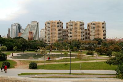 Trees in park