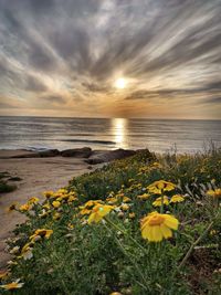 Scenic view of sea against cloudy sky during sunset