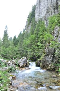 Scenic view of river flowing through rocks