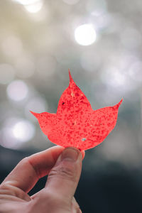 Close-up of hand holding maple leaf