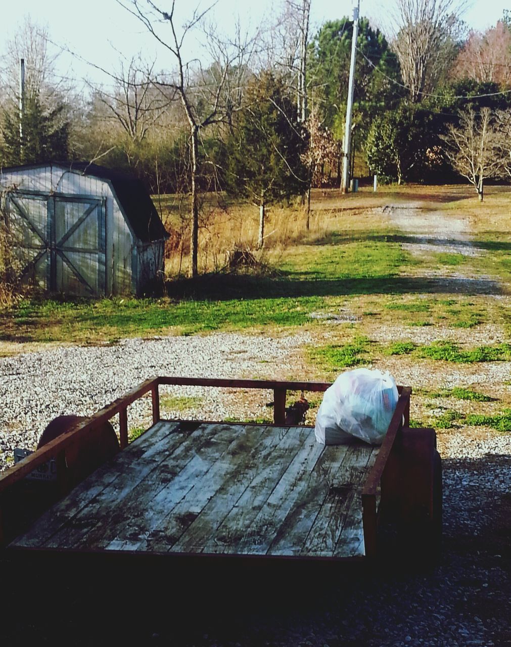 ABANDONED TABLE AND CHAIRS AGAINST TREES