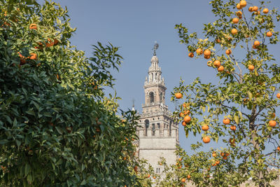 Low angle view of trees and building against sky