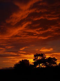 Low angle view of silhouette trees against dramatic sky