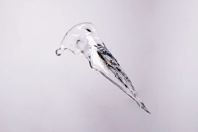 High angle view of frozen water against white background