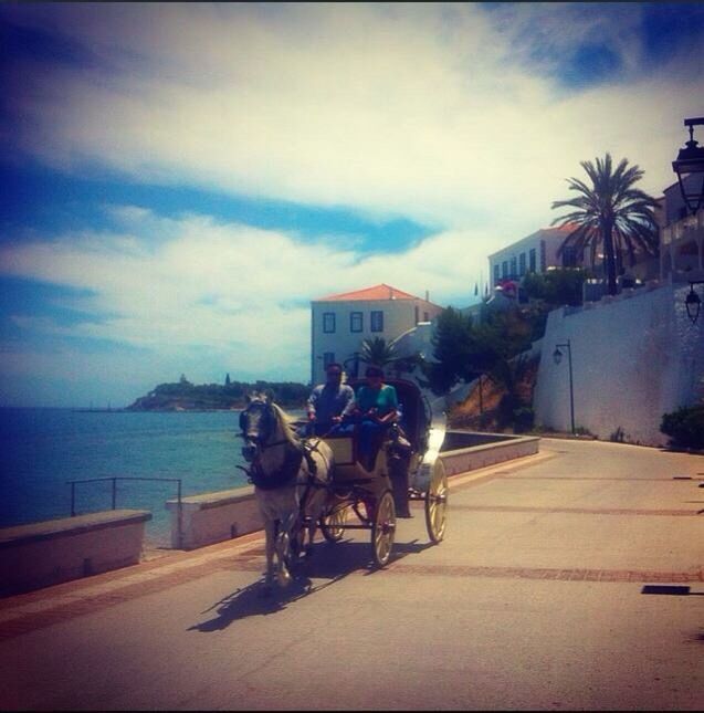 horse, city, street, men, building exterior, outdoors, women, horse cart, people, sky, mammal, domestic animals, architecture, adult, adults only, togetherness, carriage, young adult, day