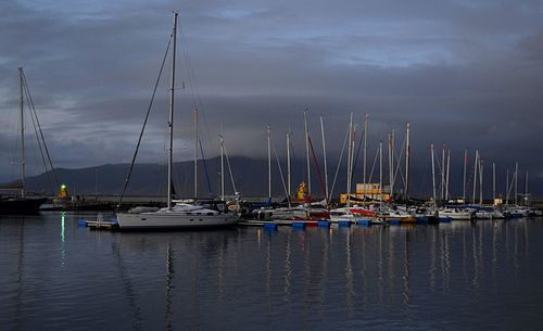 Sailboats moored in harbor