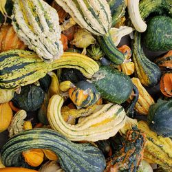 Full frame shot of pumpkins for sale at market stall