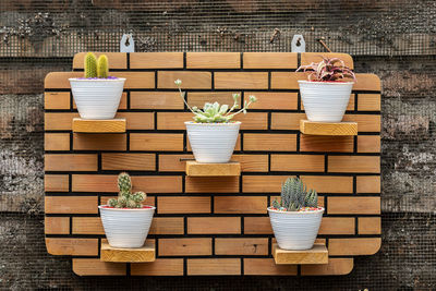 Potted plant on steps against brick wall