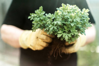 Midsection of woman holding plant