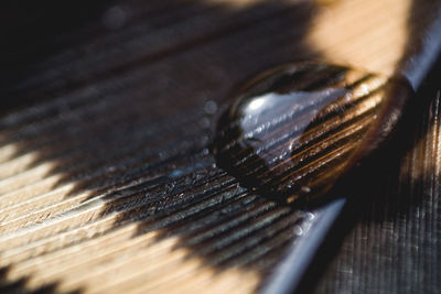 Close-up of table