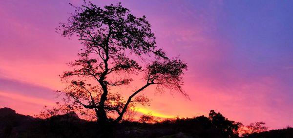 Silhouette tree against dramatic sky during sunset