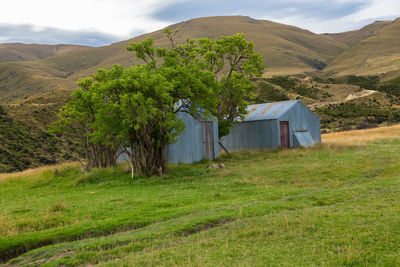 Shack in a field