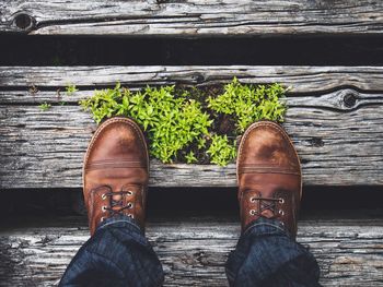 Close-up of wooden plank