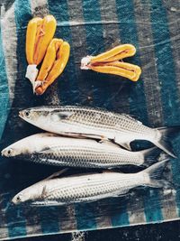 High angle view of fish on table