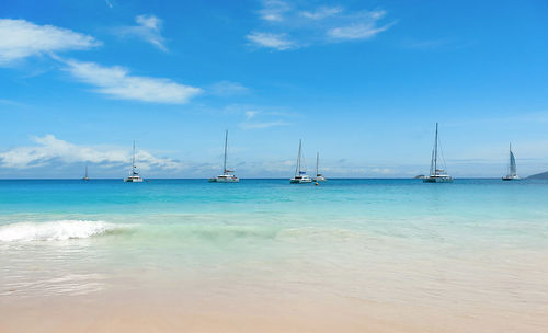 Sailboats on horizon, sea, tropical, blue, turquoise.