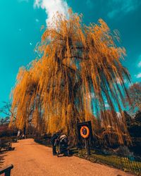 Road sign by trees against sky