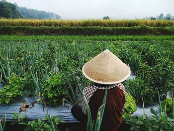 Rear view of farmer wearing asian style conical hat while working on field