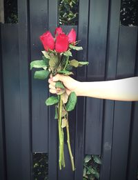 Close-up of hand holding flowering plant by door