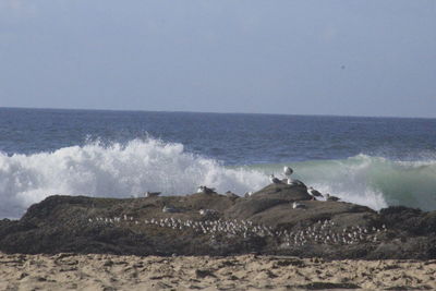 Scenic view of sea against clear sky