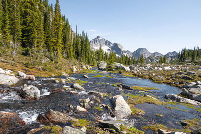 Scenic view of river against sky